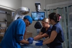 Arkansas Childrens - Caregility Tele-NICU Cart - thumb